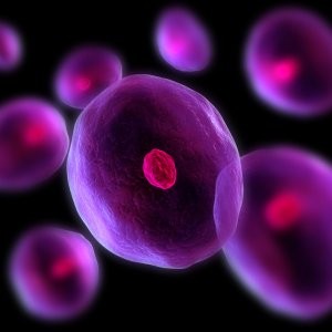 Cellular biology image